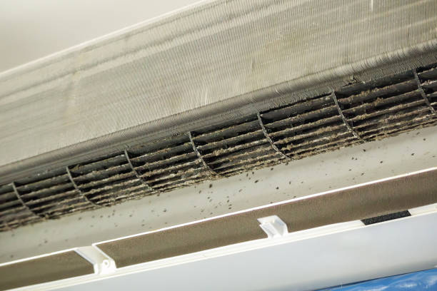 Best HVAC Air Duct Cleaning  in Ridgecrest, FL